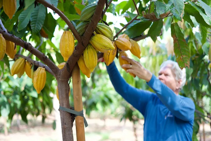Ku'ia Estate Chocolate Tour & Tasting