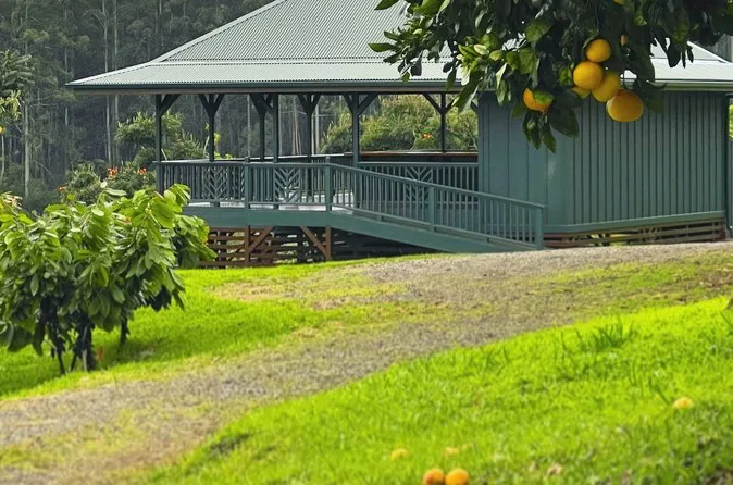 A green farm building with a wide covered lanai on a lawn, with citrus in the foreground